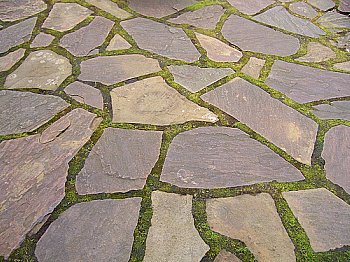 Flagstone with moss