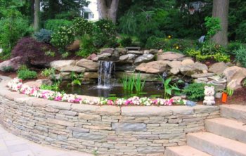 backyard pond - raised with stone