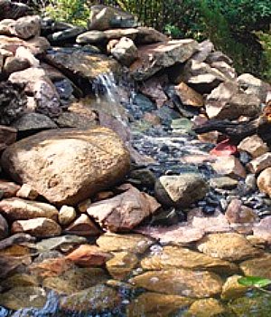 Waterfall With Boulders